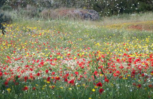 Casa Rural Duas Aguas Arribes - Foto 31