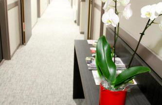 Park Wilson Airport - Foto 34