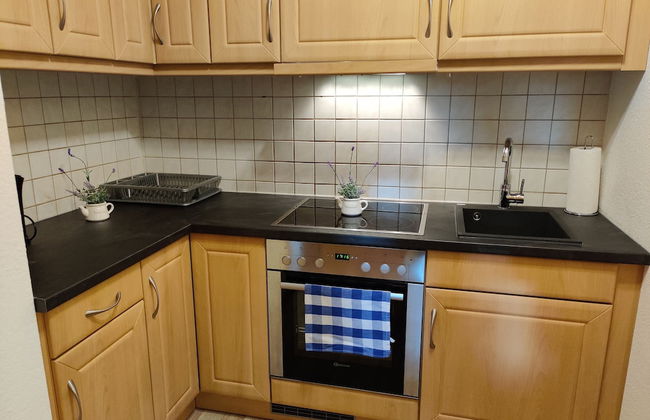 Ferienwohnungen Salzhausblick - Foto 42