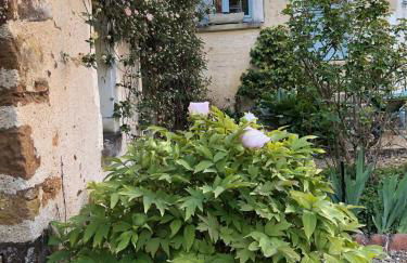 La Grande Maison - Photo 27