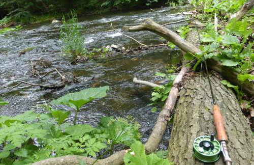 Pension Waldfrieden - Foto 14