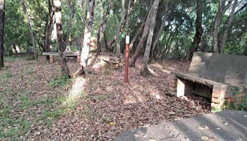 casa con bosco e vista mare - Foto 3, Garden view