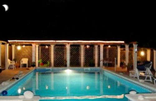 34 Sant Jordi - Foto 34