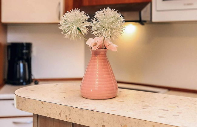 4 Star Holiday Home in Ottendorf - Foto 38