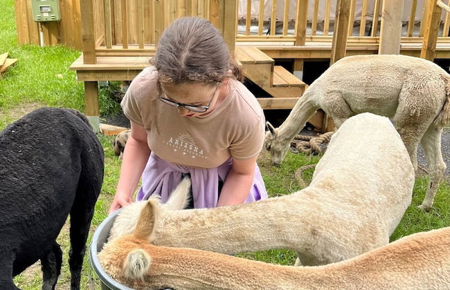 Hawthorn Cottage - Foto 39