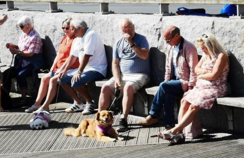 Seashell Cottage - Dog friendly 1 bed cottage close to the sea - Foto 14