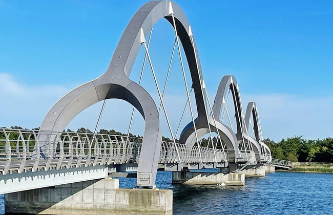 4 Star Holiday Home in Solvesborg - Photo 24