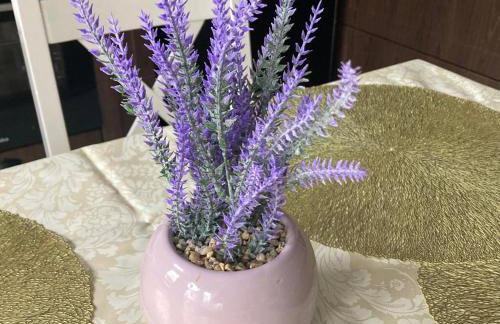 Apartament Mickiewicza - Foto 8