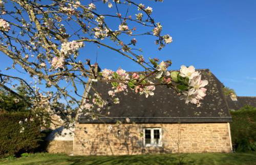 Le Clos de Kermadec - Foto 34