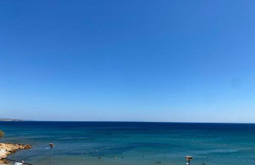 Terry Studio - Foto 67