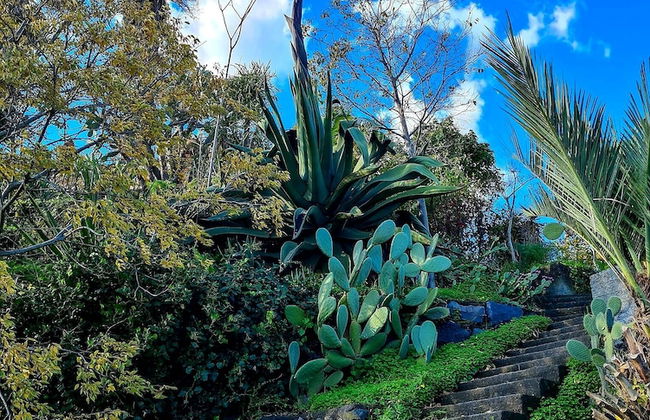 Etna Panoramic Villa With Swimming Pool - Foto 42
