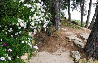 Apartamento entre la playa y la montaña - Photo 38