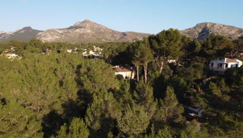 villa romana Bonaire - Foto 5