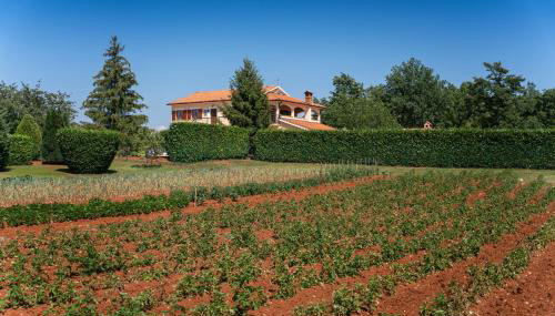 Villa Vranići - Foto 5