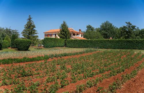 Villa Vranići - Foto 5