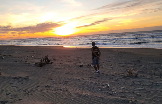 Live N Love - Photo 17