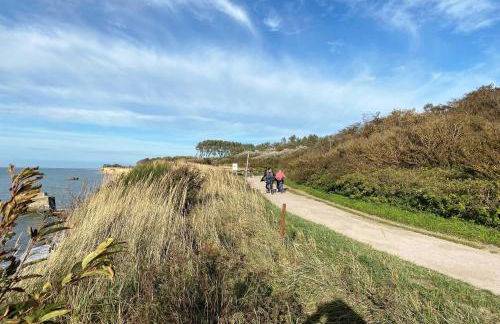 Sonnenblume in der Seefahrtschule - Foto 19