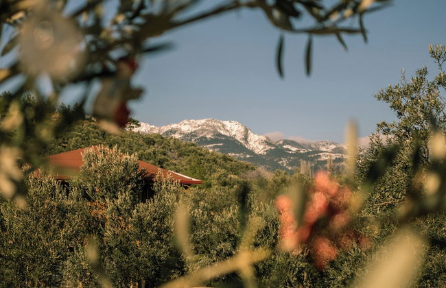 Oli Camping & Bungalows - Photo 46