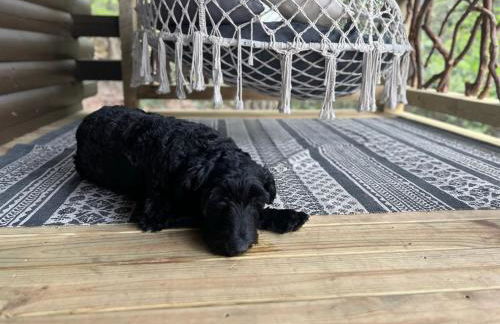Log Cabin with Mountain View and Privacy - Foto 63
