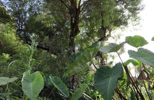 Casa no Centro Com Vista Panorâmica - Photo 22