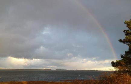 Ostseehaus Odin Doppelhaushälfte - Foto 23