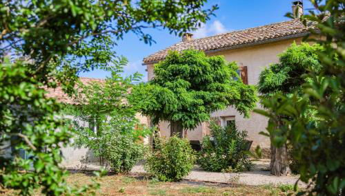 Le Mazet de Pendaries - Jardin - Gaillac - Foto 3, Garden, Garden view