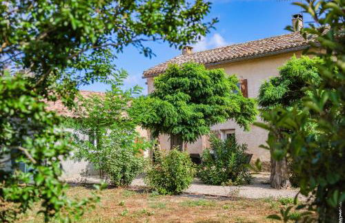 Le Mazet de Pendaries - Jardin - Gaillac - Foto 3