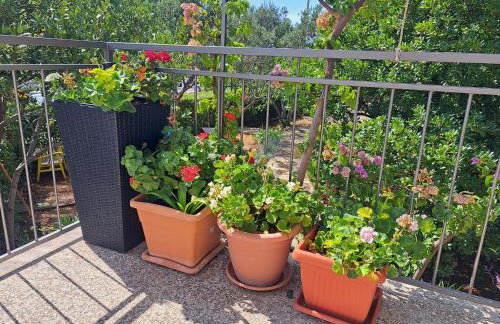 Apartman dida Jakov - Foto 4