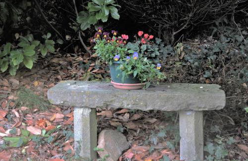 Gîte Au Coeur Du Pays Cathare - Foto 31