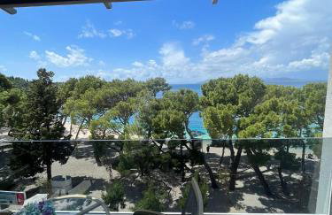 Luxury apartment Alexandar - Foto 5