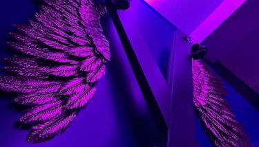 Suite craz'in Love Room, jacuzzi, cinéma, Camargue - Foto 5