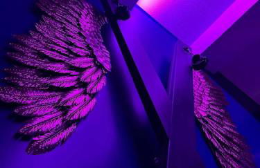 Suite craz'in Love Room, jacuzzi, cinéma, Camargue - Foto 5