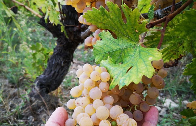 La Tinaia Country House - Photo 48