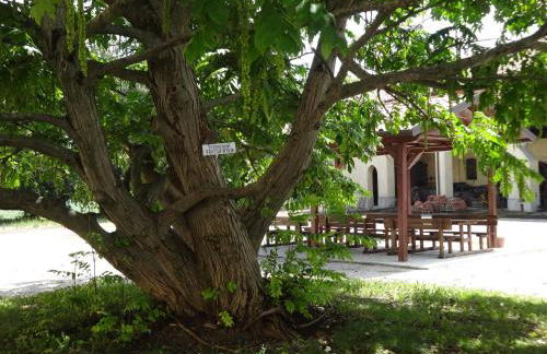 Agriturismo Rivieraoglio - Foto 46