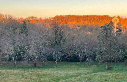Le château La Villaine Magnifique château au cœur de la Touraine - Foto 18