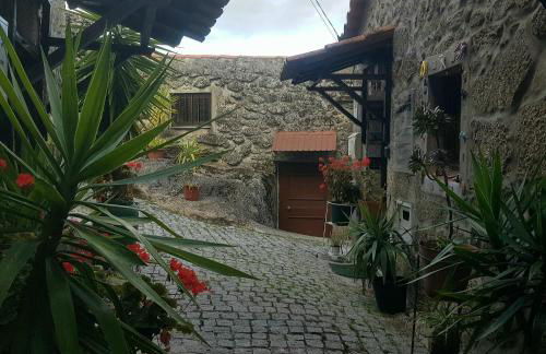 José Domingos - Foto 11