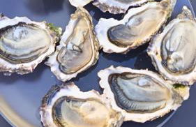 LA TERRASSE DE NOTRE DAME - Foto 55