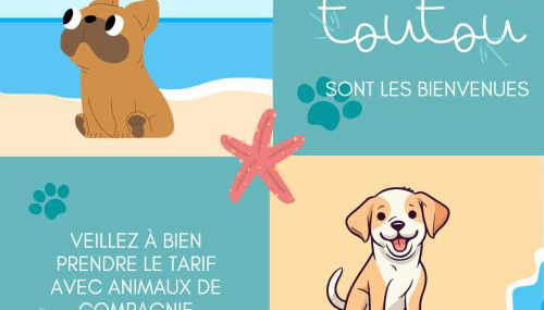 T2 cozy face dunes et océan - Thalasso et golf - Foto 2