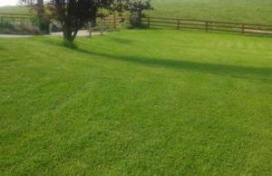 Axuri-alde - Foto 19