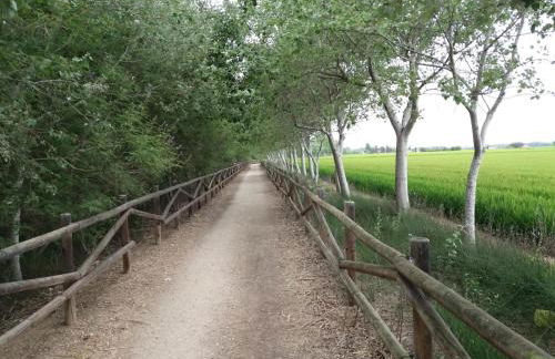 Apartament Dertosa - Foto 35