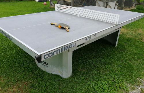 Haag Ferienwohnungen von "Small" bis "XL" für max 10 Personen und 6 Schlafzimmern - Foto 78