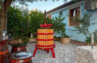 App Mariuccia - Foto 40