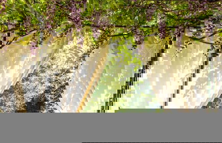 Le Querce Dei Medici 12 2 - Foto 24