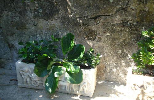 Casa de Marlães - Foto 47