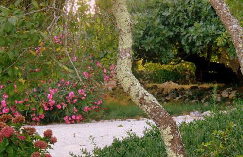 Otium Country House - Foto 76