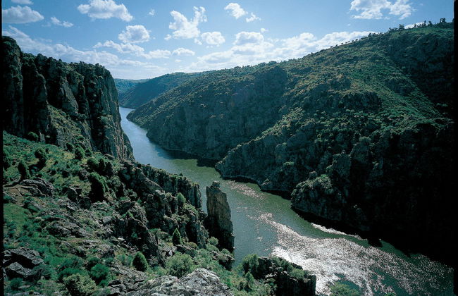Orgullo Rural - Foto 36
