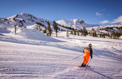 Summit 295 - Photo 15