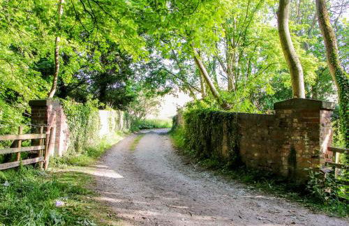 The Old Cowshed - Foto 21