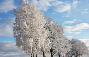 Ferienwohnung Friedrich - Photo 38