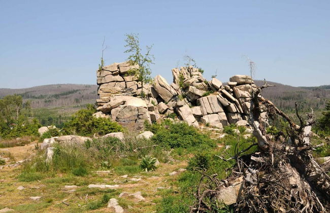 Holiday Homes in the Schierke Harzresort, Schierke - Photo 73